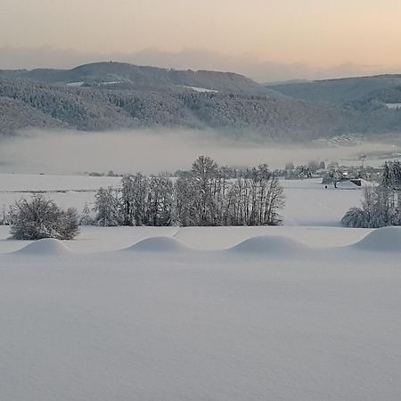 Hochsalerblick Daire Laufenburg Dış mekan fotoğraf