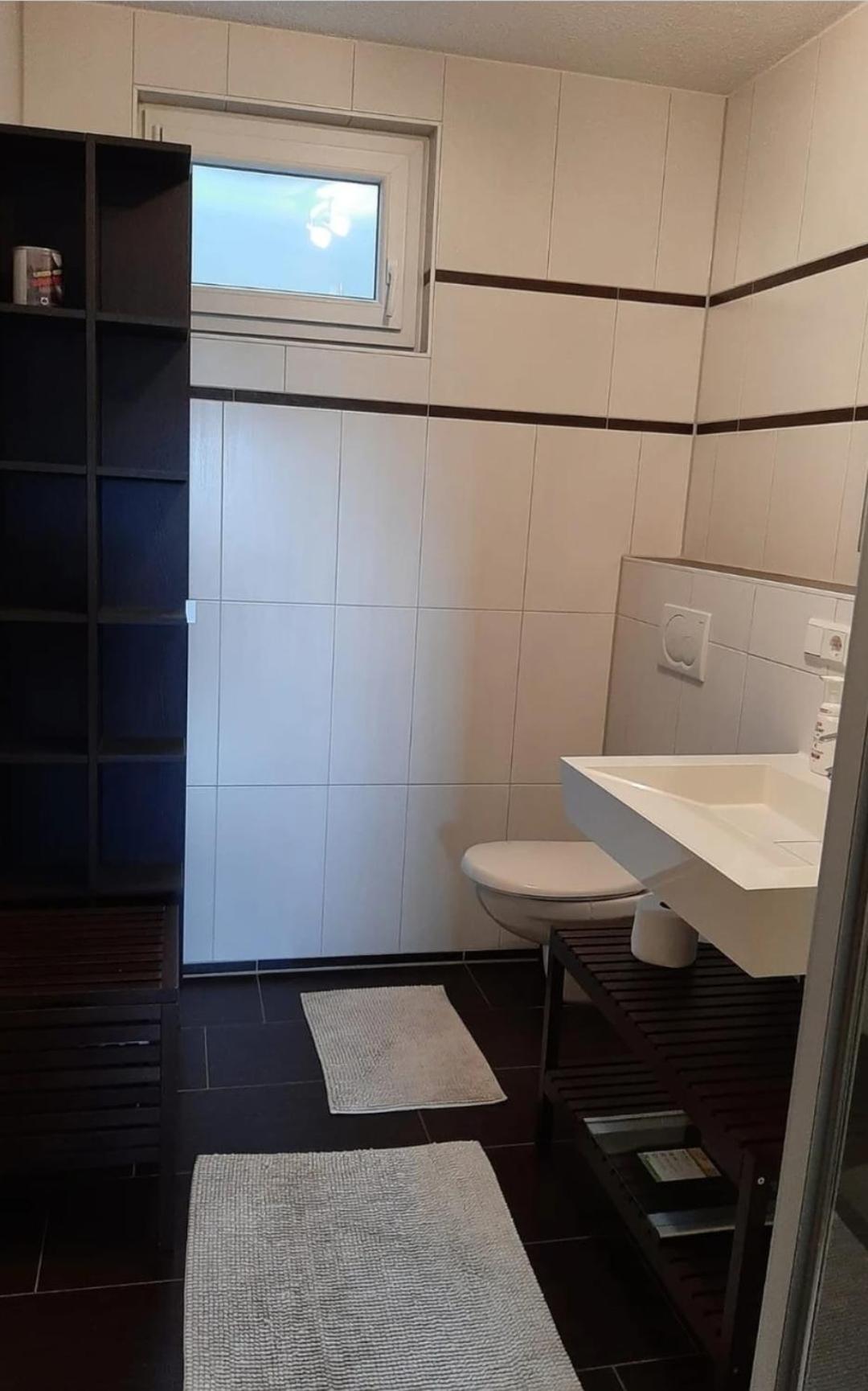 Hochsalerblick Daire Laufenburg Dış mekan fotoğraf